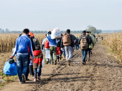 Portugalska policija razbila mrežu legaliziranja ilegalnih imigranata