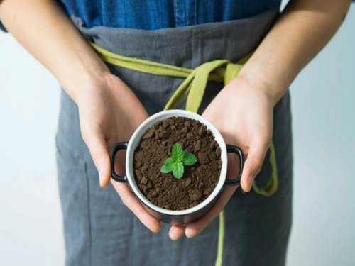 Posadite mentu za čaj, desert i miris ljeta