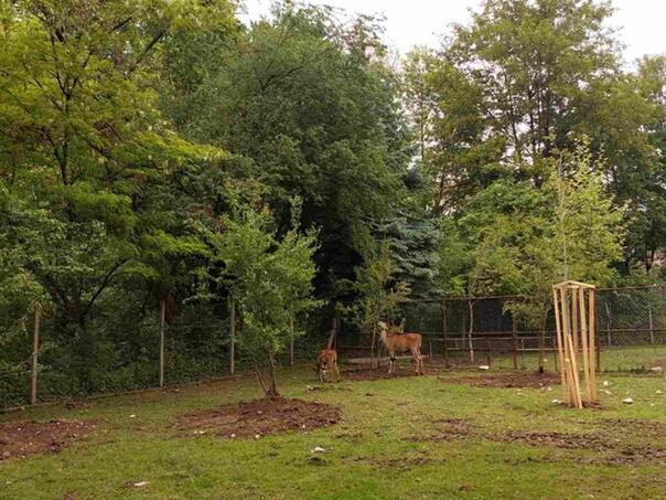 Velika porodična zabava u Pionirskoj dolini, ulaz besplatan