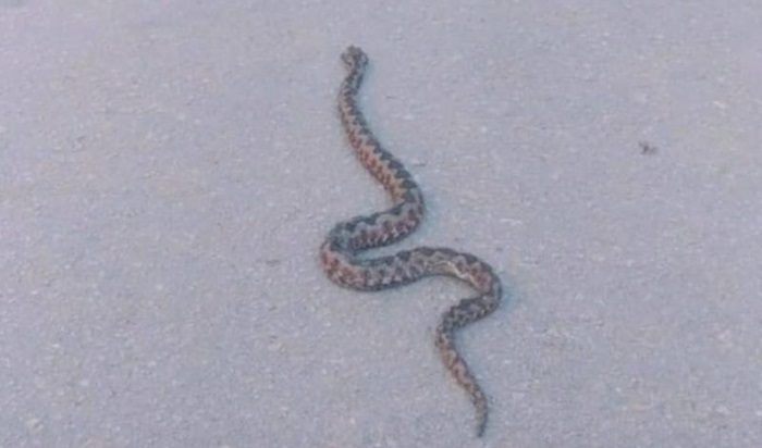 Poskok fotografisan kod bolnice u Mostaru