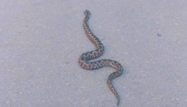 Poskok fotografisan kod bolnice u Mostaru