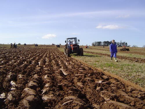 Poskupljenje energenata povećava troškove pripreme sjetve u BiH
