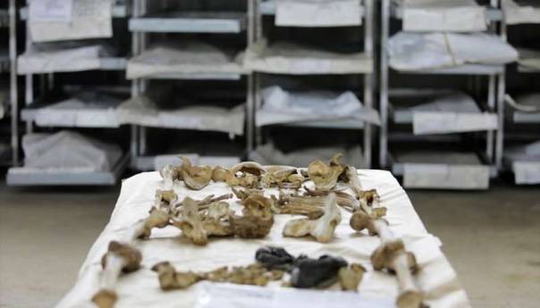 Posmrtni ostaci najmanje dvije žrtve ekshumirani na području općina Bratunac i Srebrenica