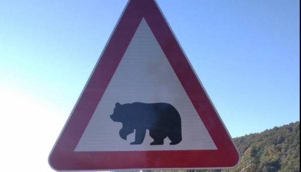 Postavljen prvi saobraćajni znak sa siluetom mrkog medvjeda u BiH