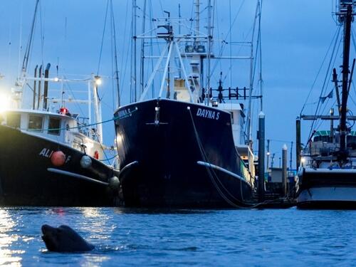 Potonuo ribarski brod kod Falklandskih otoka, strahuje se da je šest ljudi poginulo