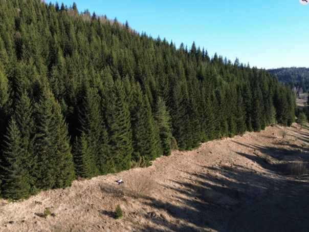 Povećana opasnost od šumskih požara