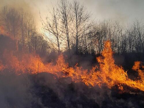 Povodom povećane opasnosti od šumskih požara iz Uprave za šumarstvo KS pozivaju na oprez