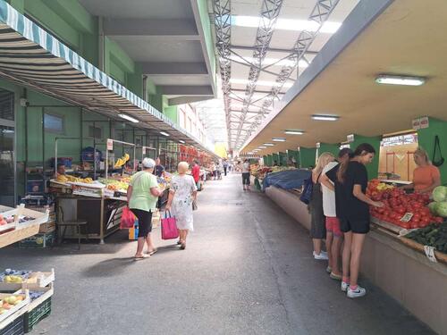 Povrtlari zadovoljni prinosom i kvalitetom povrća, čak im je i suša odgovarala