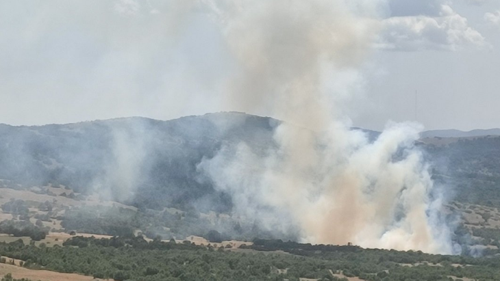 Požar izbio u bilećkom selu: Vatrogasci odbijaju vatru od kuća
