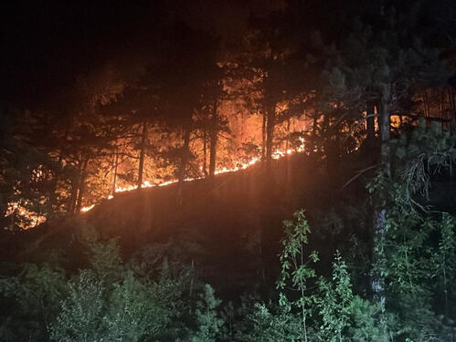 Požar iznad Konjica, sve službe na terenu
