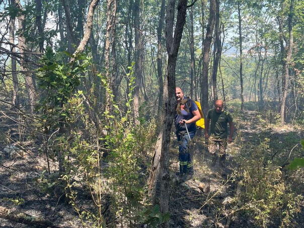 Požar iznad Ljutog Doca, u gašenju pomaže Air Tractor