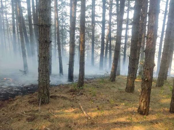 Požar kod Drvara pod kontrolom, otkazan angažman helikoptera