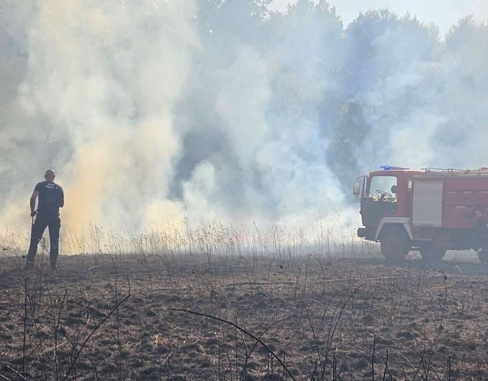 Požar kod Gruda pod kontrolom: Izgorjelo 16 hektara šume, trave i niskog rastinja