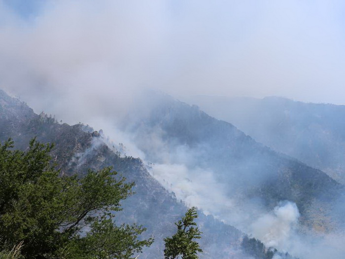 Požar kod Jajca zahvatio oko sedam hektara borove šume, gašenje otežano zbog mina