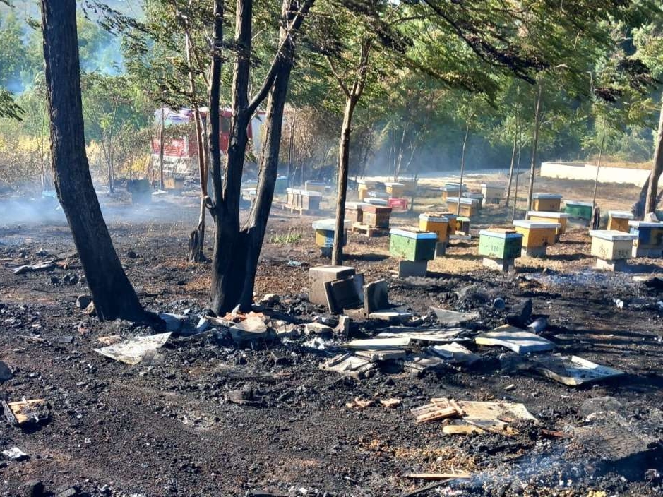 Požar kod Ljubuškog progutao pčelinjak: Izgorjele 43 pčelinje zajednice