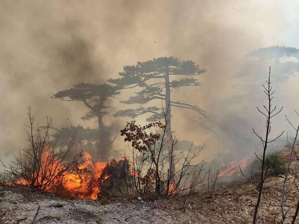 Požar kod Mostara: Težak teren, vjetar i visoke temperature