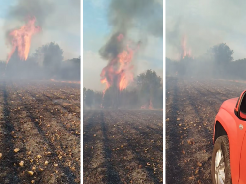Požar kod Mostara i dalje aktivan, zahvatio područje Jasenice i Baćevića