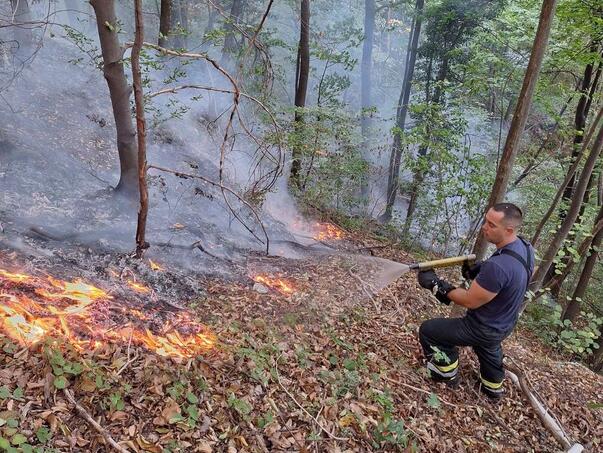 Požar kod sela Maoče ugašen i stavljen pod kontrolu