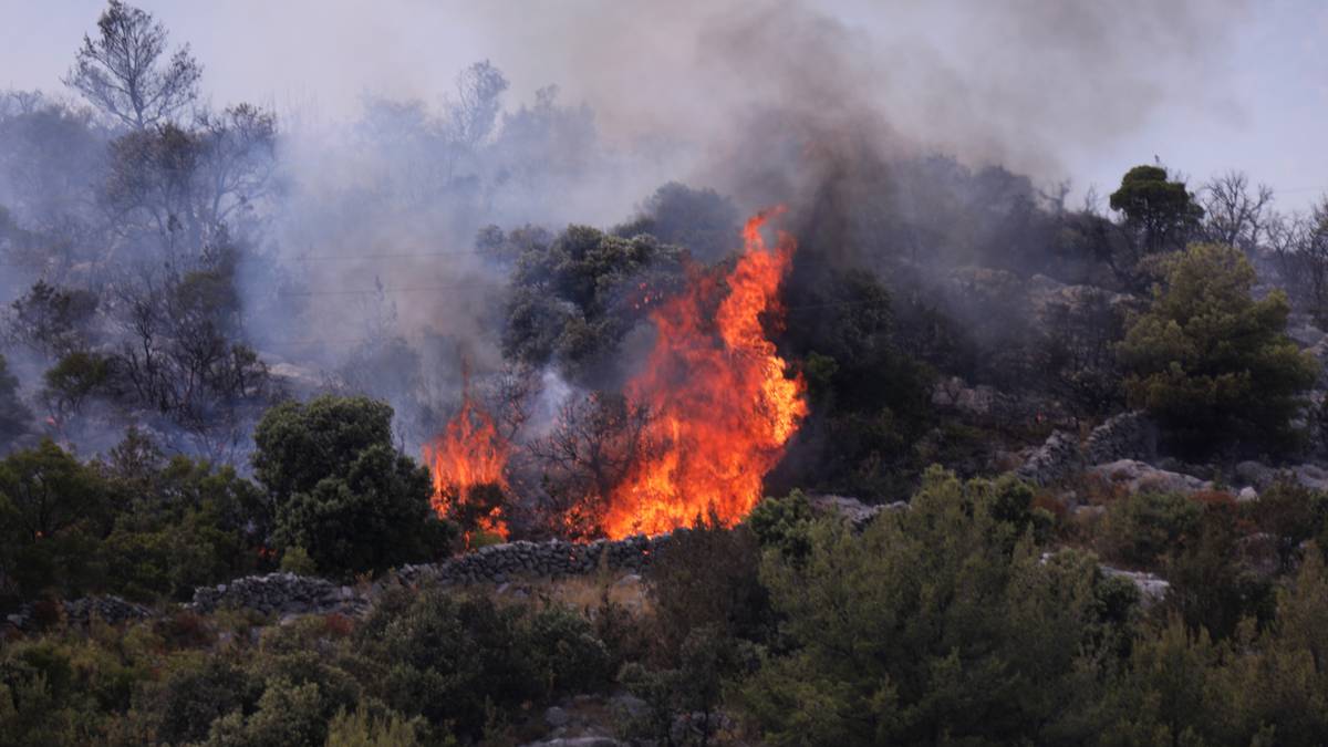 Požar na Braču, više od 50 vatrogasaca bori se s vatrom