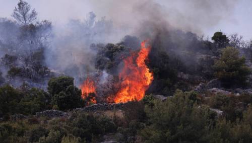Požar na Braču, više od 50 vatrogasaca bori se s vatrom