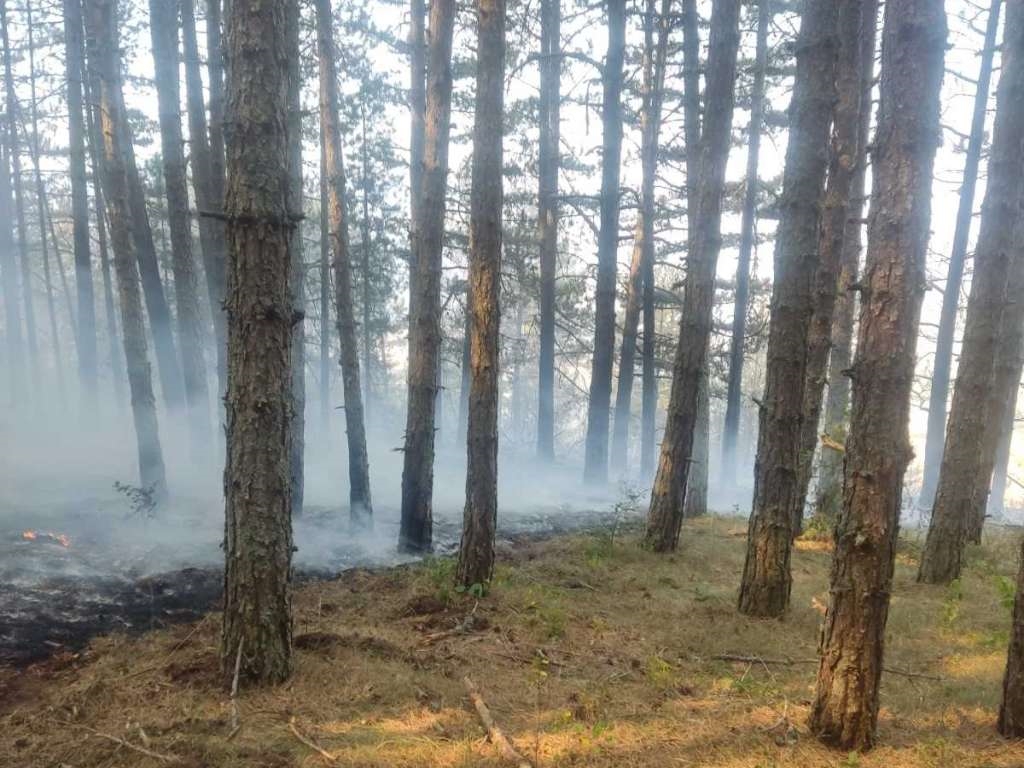 Požar na Čvrsnici i dalje aktivan, vatrogasci angažirani na gašenju