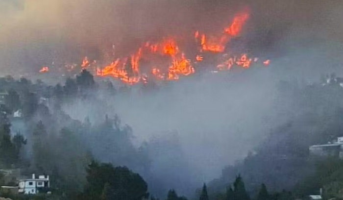 Požar na La Palmi van kontrole, evakuirano 4.000 stanovnika