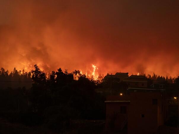 Požar na ostrvu Tenerife, evakuisane hiljade ljudi