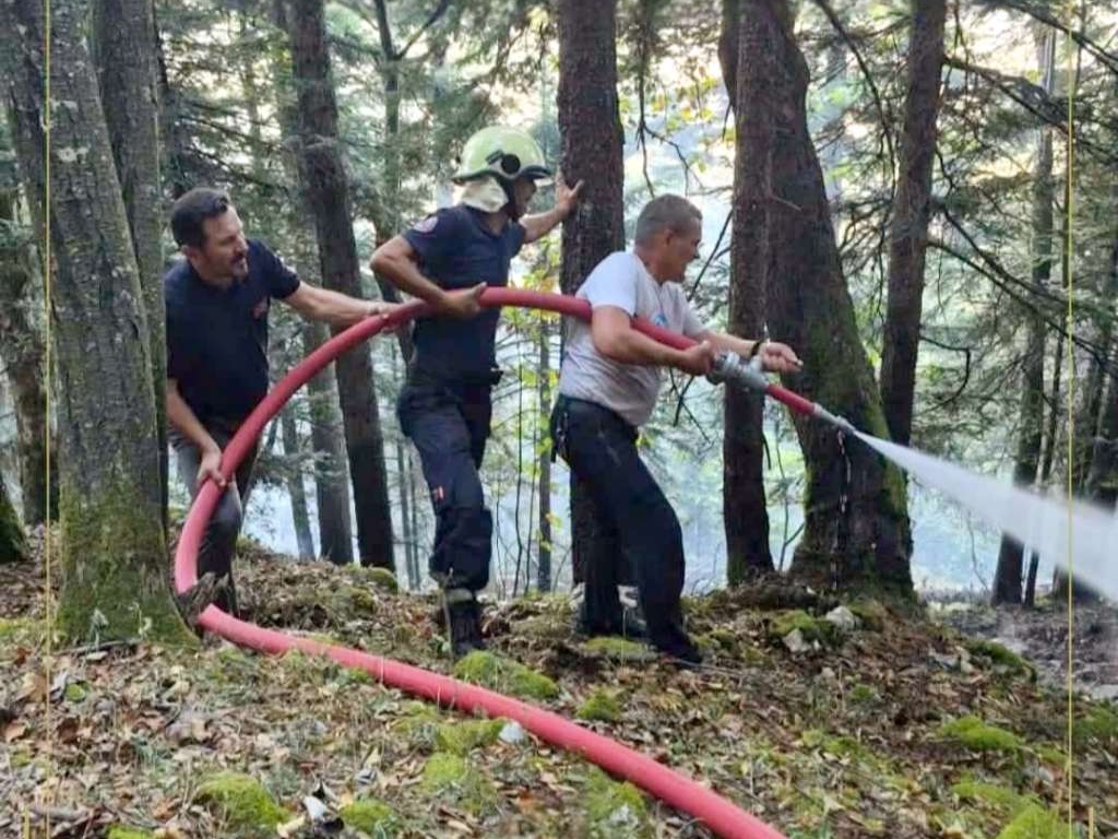 Požar na Plješevici pod kontrolom, ekipe nastavljaju saniranje terena