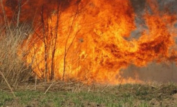 Požar na više mjesta u Bileći, vatrogasci ne mogu prići