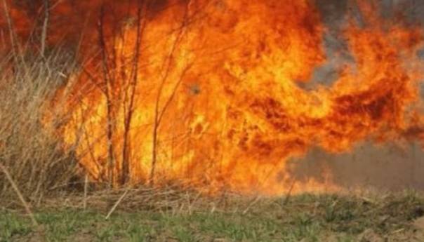 Požar na više mjesta u Bileći, vatrogasci ne mogu prići