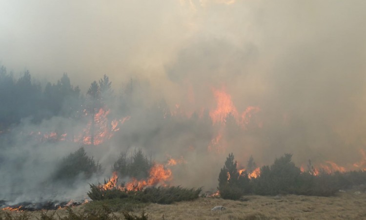 Požar nedaleko od Atine, građani pozvani da napuste kuće