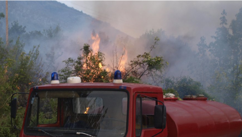 Požar progutao 12.000 hektara površine