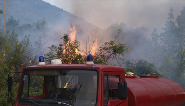 Požar progutao 12.000 hektara površine