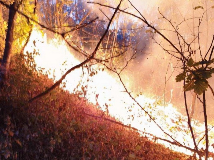 Požar u banjalučkom naselju Vrbanja, vatrogasci na terenu