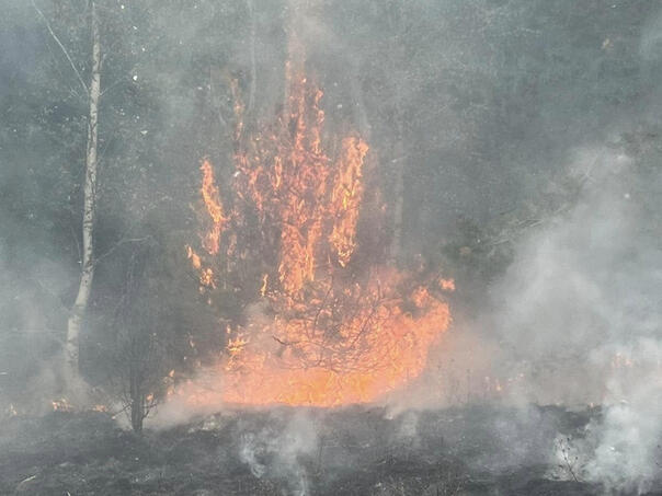 Požar u blizini Srebrenice širi se strmim terenom, očekuje se pomoć helikoptera