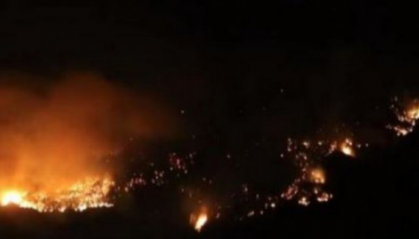 Požar u Buča Potoku: Nije bilo povrijeđenih osoba