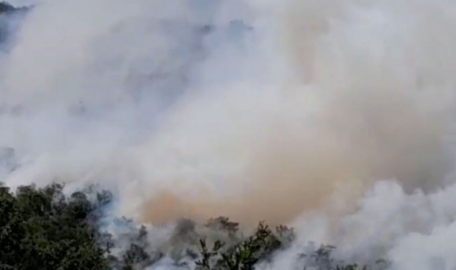 Požar u Herceg Novom: Vatrogasci na terenu, čeka se dolazak helikoptera