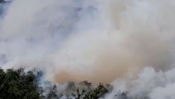 Požar u Herceg Novom: Vatrogasci na terenu, čeka se dolazak helikoptera