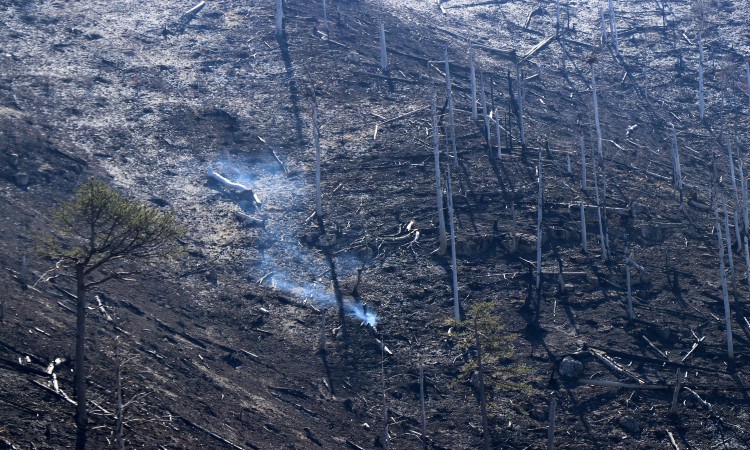 Požar u Jablanici uz magistralnu cestu gasi helikopter OS BIH