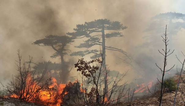 Požar u Konjicu još aktivan, nije potrebna pomoć iz zraka