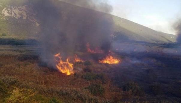 Požar u Parku prirode 'Hutovo blato' i dalje aktivan