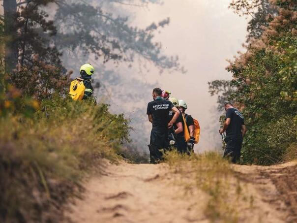 Požar u rezervatu prirode Deliblatska pješčara stavljen pod kontrolu