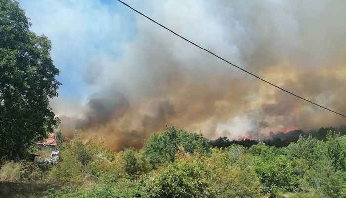 Požar u Trebinju pod kontrolom