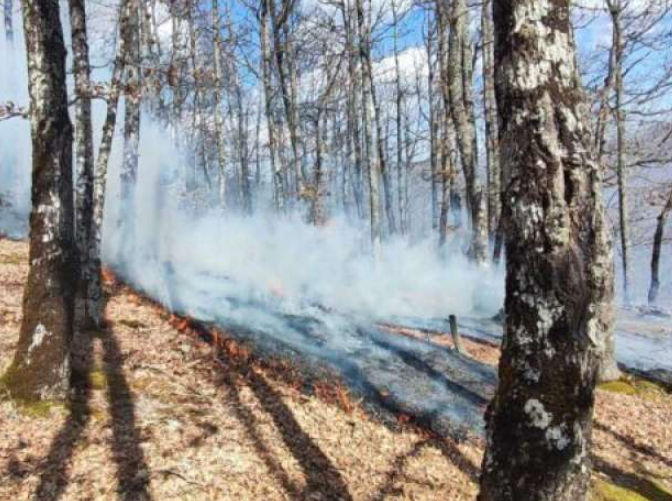 Požar većih razmjera u rejonu Žilića u Goraždu