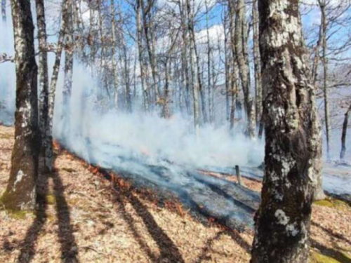 Požar većih razmjera u rejonu Žilića u Goraždu