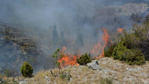 Požari aktivni u Stocu, Jablanici i Čapljini, izgorjela kuća i dvije štale
