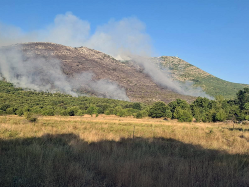 Požari i dalje bjesne kod Trebinja: Helikopter i stotinu vatrogasaca u akciji