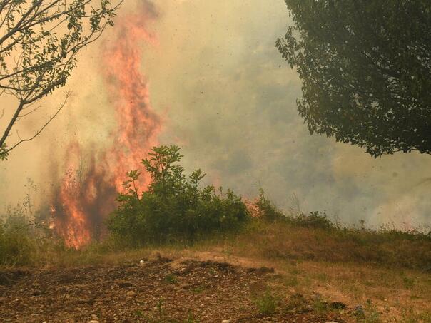 Požari od sjevera do juga Crne Gore: Vatrogasci ulažu nadljudske napore