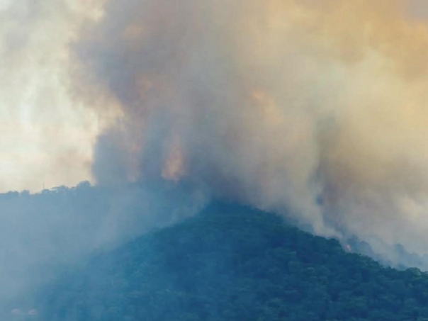 Požari u Australiji: Uništeno najmanje 40 kuća, poginuo vatrogasac