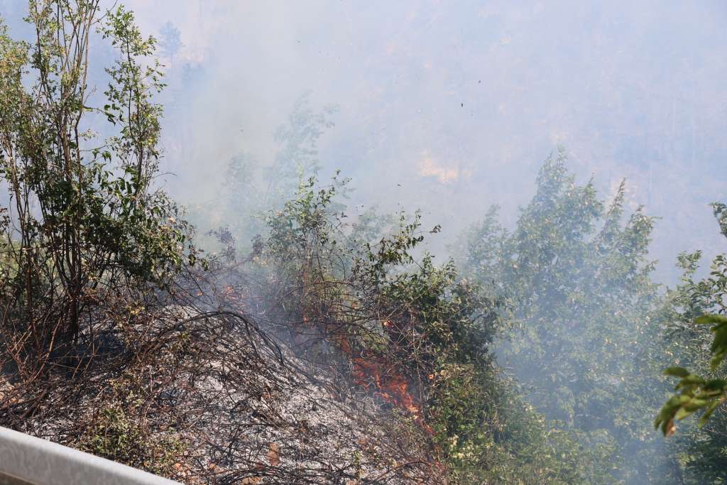 Požari u Crnoj Gori ne miruju, vatrogascima pomaže i vojska